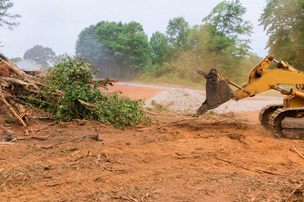 Ground Clearing in Inverness