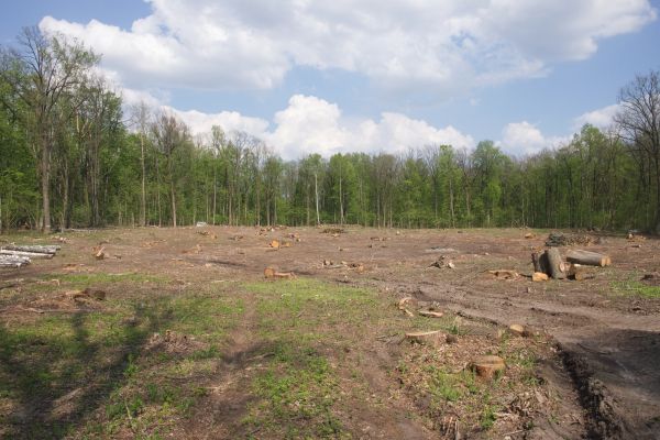 Cost of Pasture Clearing in Inverness