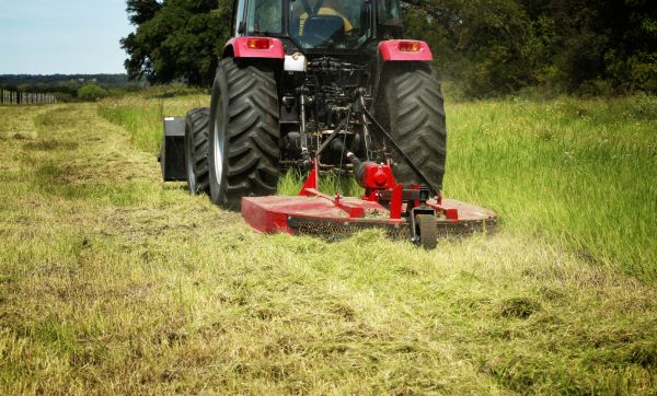 Brush Clearing Service in Inverness