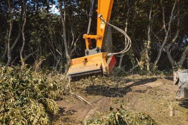 Brush Removal Service in Inverness