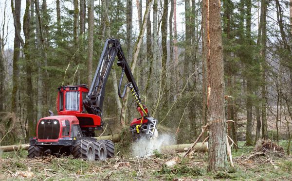 Cost of Forest Clearance Service in Inverness