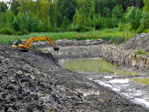 Cost of Lake Lot Clearing in Inverness