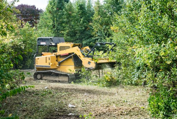 Cost of Pathway Clearing in Inverness