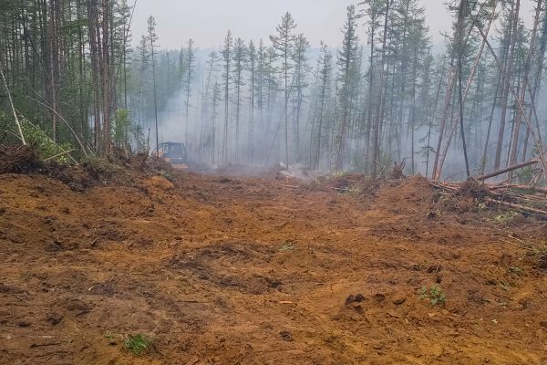 Cost of Hill Clearing in Inverness