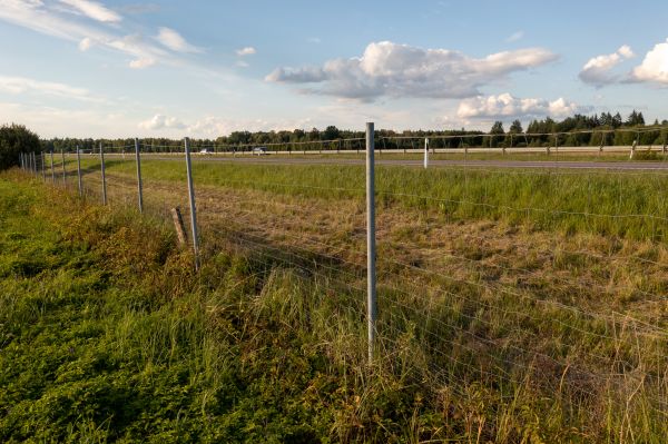 Cost of Property Line Clearing in Inverness