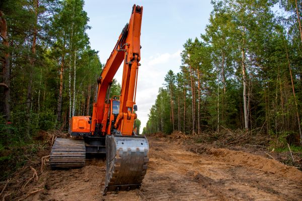 Cost of Backhoe Land Clearing in Inverness