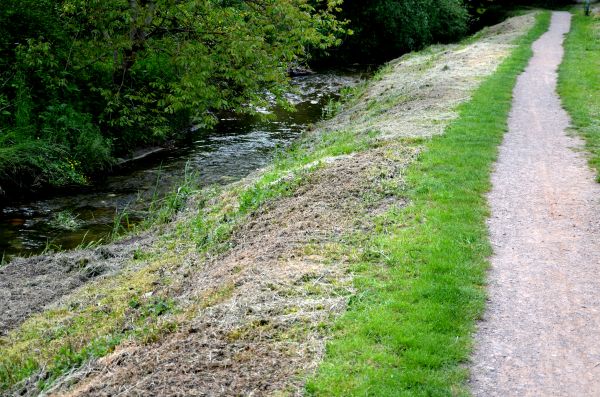 Cost of Trail Cutting in Inverness